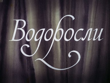 Диафильм «Водоросли»