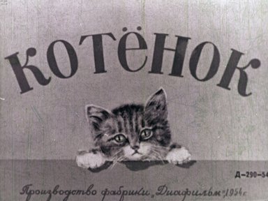 Диафильм «Котенок»