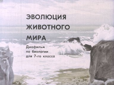 Диафильм «Эволюция животного мира»