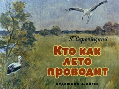 Диафильм «Кто как лето проводит»