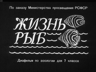 Диафильм «Жизнь рыб»