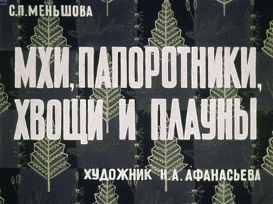 Диафильм «Мхи, папоротники, хвощи и плауны»