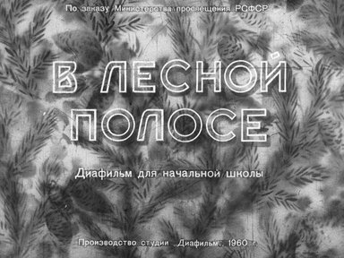Диафильм «В лесной полосе»