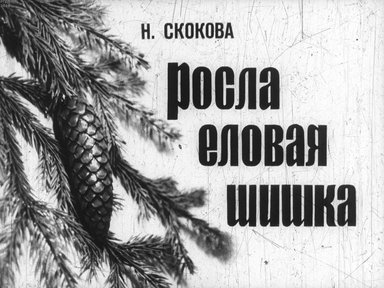 Диафильм «Росла еловая шишка»