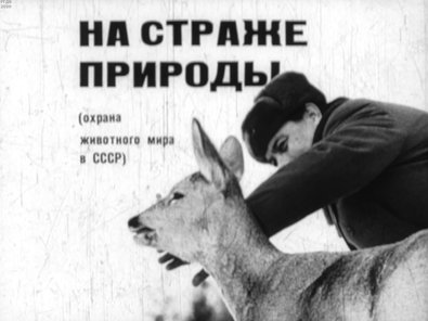 Диафильм «На страже природы»