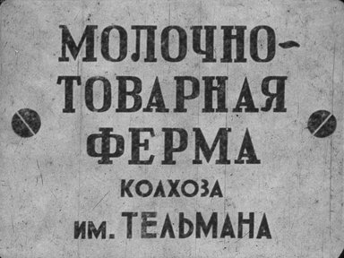 Диафильм «Молочно-товарная ферма колхоза им. Тельмана»