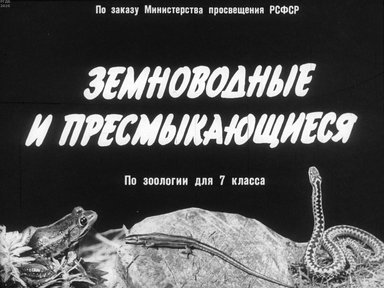 Диафильм «Земноводные и пресмыкающиеся»