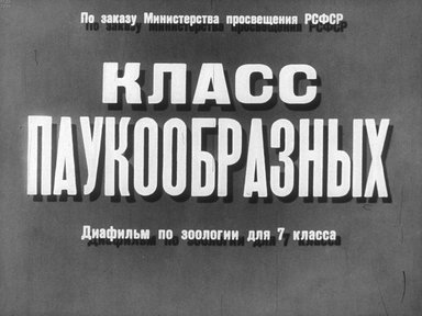 Диафильм «Класс паукообразных»