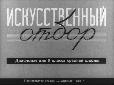 Диафильм «Искусственный отбор»