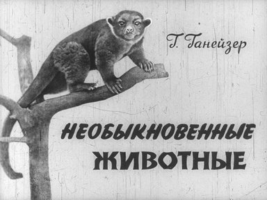 Диафильм «Необыкновенные животные»