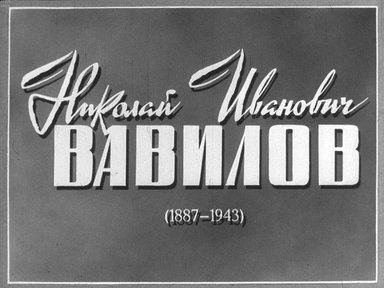 Диафильм «Николай Иванович Вавилов (1887-1943)»