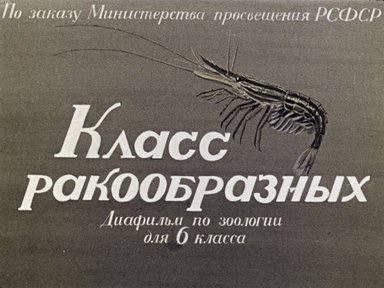 Диафильм «Класс ракообразных»