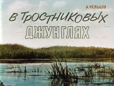 Диафильм «В тростниковых джунглях»