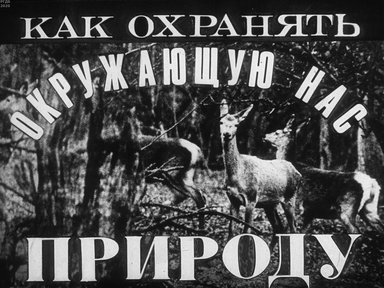 Диафильм «Как охранять окружающую нас природу»