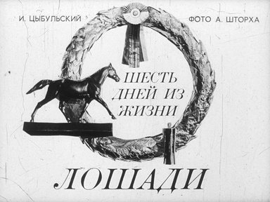 Диафильм «Шесть дней из жизни лошади»