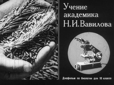 Диафильм «Учение академика Н.И. Вавилова»