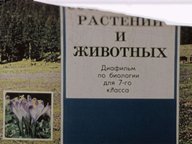 Диафильм «Природные сообщества растений и животных»