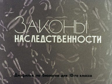 Диафильм «Законы наследственности»