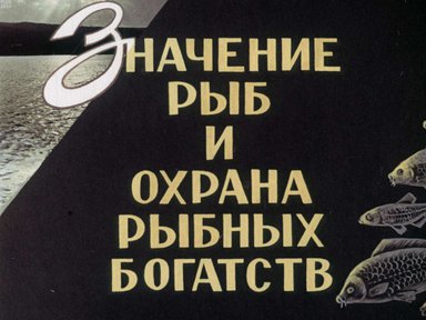 Диафильм «Значение рыб и охрана рыбных богатств»