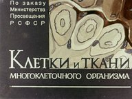 Диафильм «Клетки и ткани многоклеточного организма»