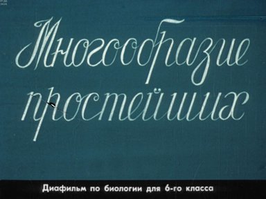Диафильм «Многообразие простейших»