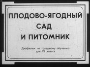 Плодово-ягодный сад и питомник
