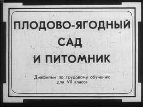 Плодово-ягодный сад и питомник