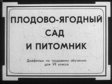 Диафильм «Плодово-ягодный сад и питомник»