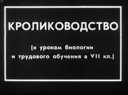 Кролиководство