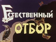 Диафильм «Естественный отбор»