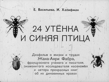 Диафильм «24 утенка и синяя птица»