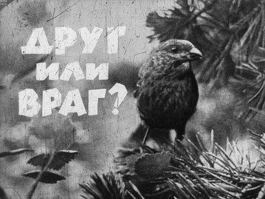 Диафильм «Друг или враг?»