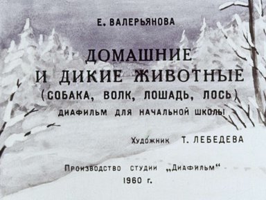 Диафильм «Домашние и дикие животные (собака, волк, лошадь, лось)»