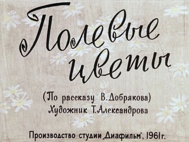 Диафильм «Полевые цветы»