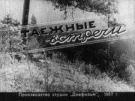 Диафильм «Таежные встречи»