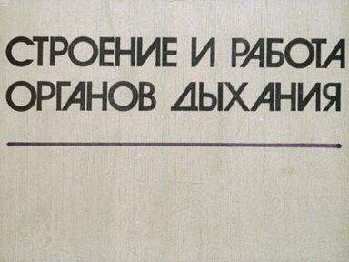 Обложка диафильма «Строение и работа органов дыхания»