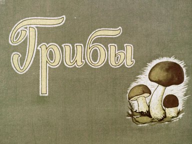 Обложка диафильма «Грибы»