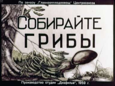 Обложка диафильма «Собирайте грибы»