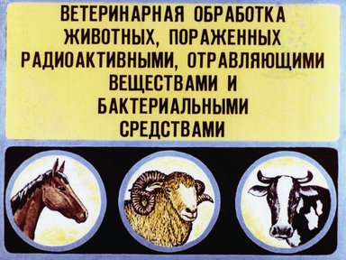 Обложка диафильма «Ветеринарная обработка животных, пораженных радиоактивными, отравляющими веществами и бактериальными средствами»