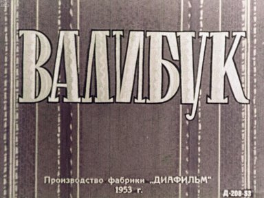 Обложка диафильма «Валибук»