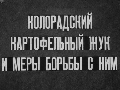 Колорадский картофельный жук и меры борьбы с ним