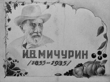 Обложка диафильма «И. В. Мичурин (1855-1935)»