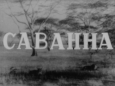 Обложка диафильма «Саванна»