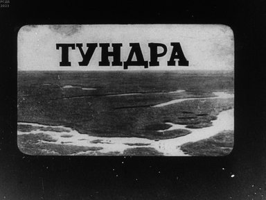 Обложка диафильма «Тундра»
