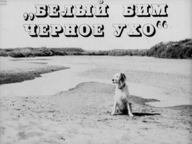 Обложка диафильма «"Белый Бим Черное ухо"»