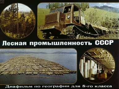 Лесная промышленность СССР