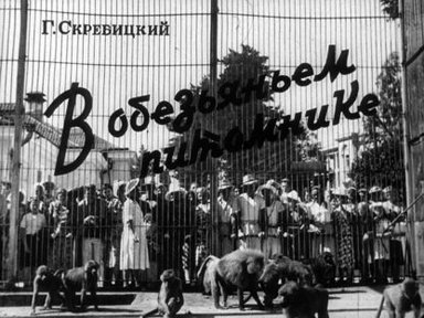 Обложка диафильма «В обезьяньем питомнике»