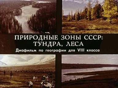 Природные зоны СССР: тундра, леса