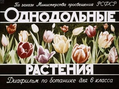 Обложка диафильма «Однодольные растения»