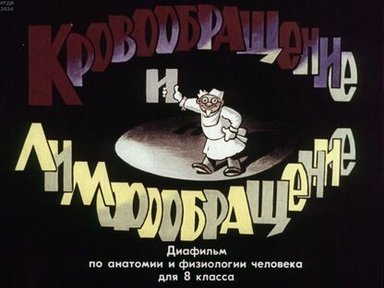 Обложка диафильма «Кровообращение и лимфообращение»